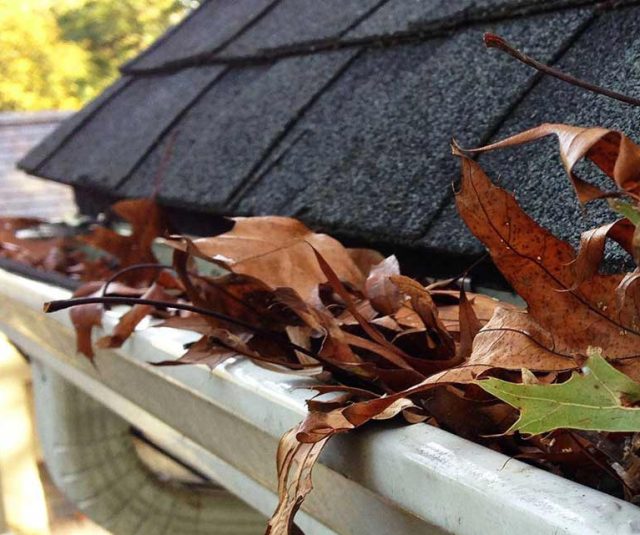 clogged white roof gutter without a gutter guard for debris